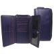 Image name:cl62purple.jpg